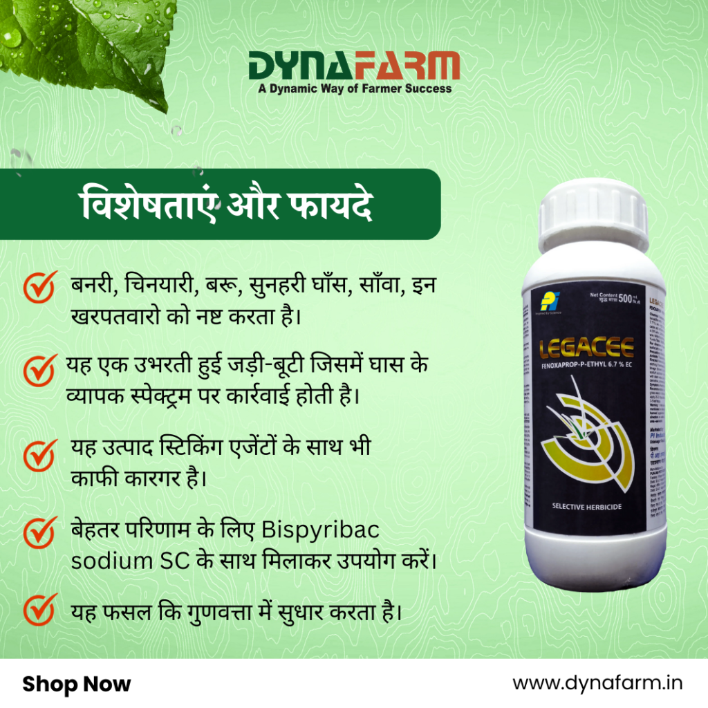 Dynafarm - Home Dynafarm - Legacee 2