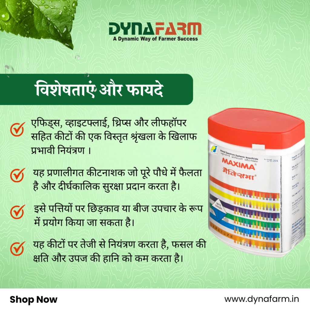 Dynafarm - Home Dynafarm - Maxima