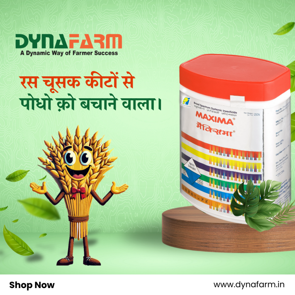Dynafarm - Home Dynafarm - Maxima MAIN