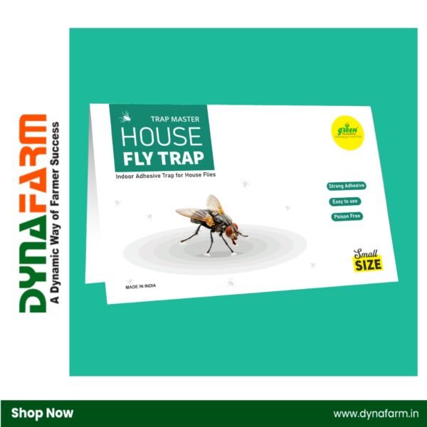 Small Housefly Trap – Powerful & Non-Toxic Fly Control - Image 2