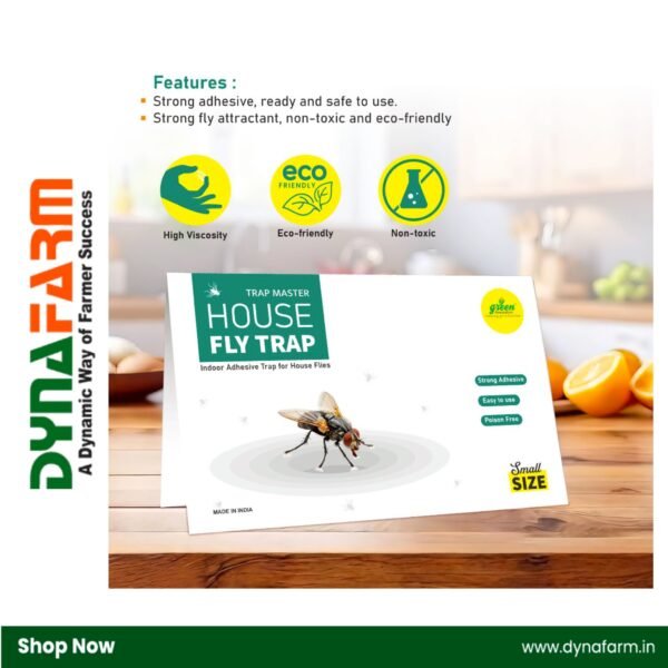 Small Housefly Trap – Powerful & Non-Toxic Fly Control - Image 5