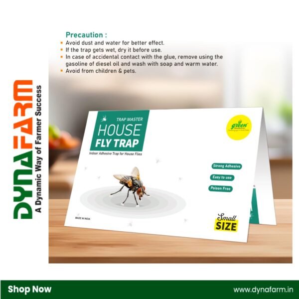 Small Housefly Trap – Powerful & Non-Toxic Fly Control - Image 6