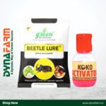 Beetle Lure for Rhinoceros Beetle Control