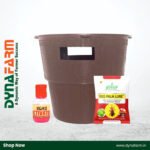 Red Palm Lure for Red Palm Weevil Control