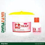 Pomo Trap with Pomo Lure – Effective Control for Pinhole Borer