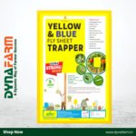 Eco Yellow Sticky Trap (A4 Size - 200mm x 300mm) – Pack of 25