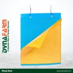 Premium Blue Sticky Trap (25cm x 33cm) – Pack of 10