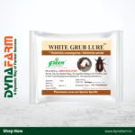 White Grub Lure (H. serrata & H. consanguinea)