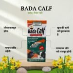 Bada Calf – Calf Booster & Growth Tonic (1 Litre) - Image 2