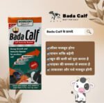 Bada Calf – Calf Booster & Growth Tonic (1 Litre) - Image 5