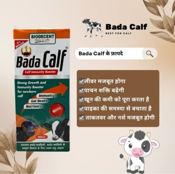 Bada Calf – Calf Booster & Growth Tonic (1 Litre) - Image 5