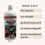 Bada Calf – Calf Booster & Growth Tonic (1 Litre) - Image 3