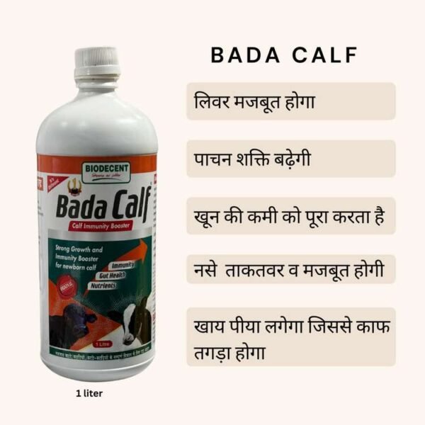 Bada Calf – Calf Booster & Growth Tonic (1 Litre) - Image 3