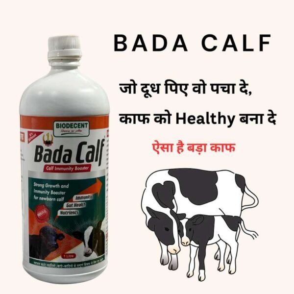 Bada Calf – Calf Booster & Growth Tonic (1 Litre) - Image 4