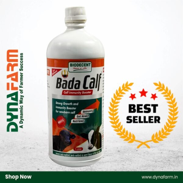 Bada Calf – Calf Booster & Growth Tonic (1 Litre) - Image 1