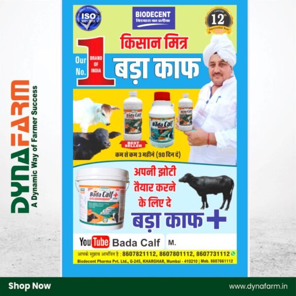 Bada Calf Plus+ – Calf Booster & Growth Tonic Powder (2.5Kg Or 5 Kg Pack) - Image 4