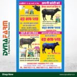 Bada Calf Plus+ – Calf Booster & Growth Tonic Powder (2.5Kg Or 5 Kg Pack) - Image 5