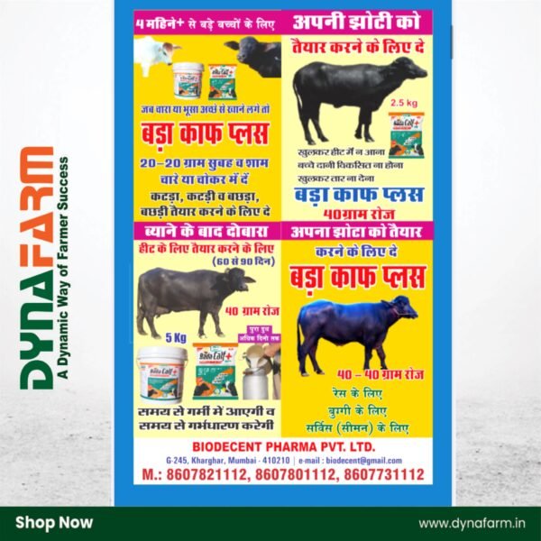 Bada Calf Plus+ – Calf Booster & Growth Tonic Powder (2.5Kg Or 5 Kg Pack) - Image 5