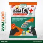 Bada Calf Plus+ – Calf Booster & Growth Tonic Powder (2.5Kg Or 5 Kg Pack) - Image 2