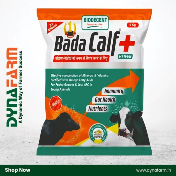 Bada Calf Plus+ – Calf Booster & Growth Tonic Powder (2.5Kg Or 5 Kg Pack) - Image 2