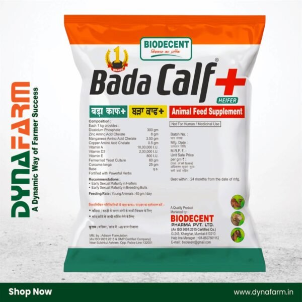 Bada Calf Plus+ – Calf Booster & Growth Tonic Powder (2.5Kg Or 5 Kg Pack) - Image 3
