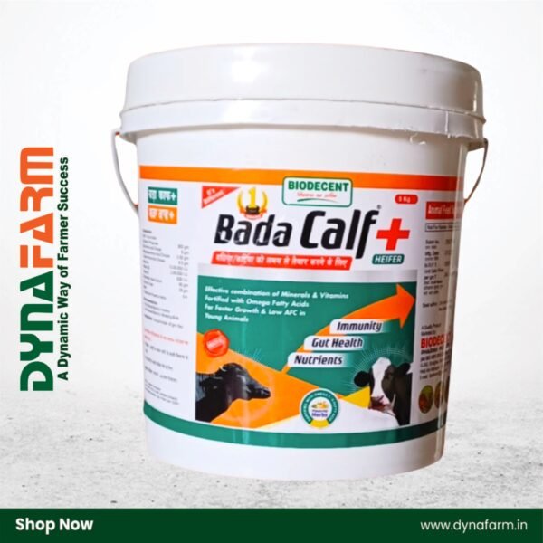 Bada Calf Plus+ – Calf Booster & Growth Tonic Powder (2.5Kg Or 5 Kg Pack) - Image 1