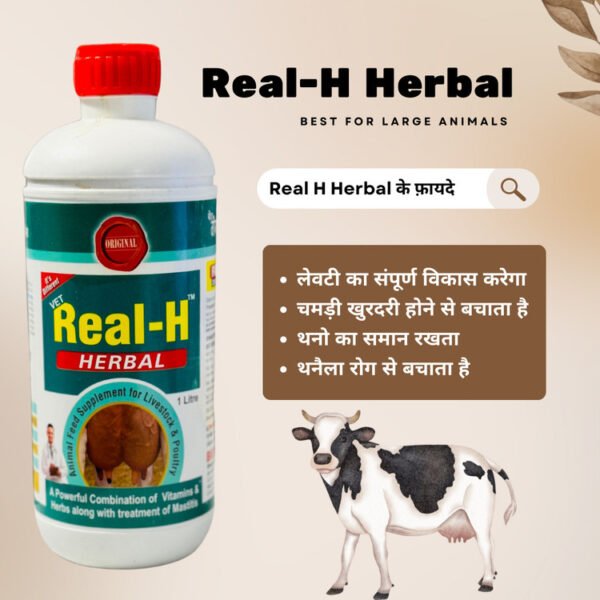 Real‑H Herbal Livestock Tonic – Natural Udder & Milk Boost Formula (1 & 2 Litre) - Image 4