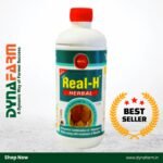 Real‑H Herbal Livestock Tonic – Natural Udder & Milk Boost Formula (1 & 2 Litre)