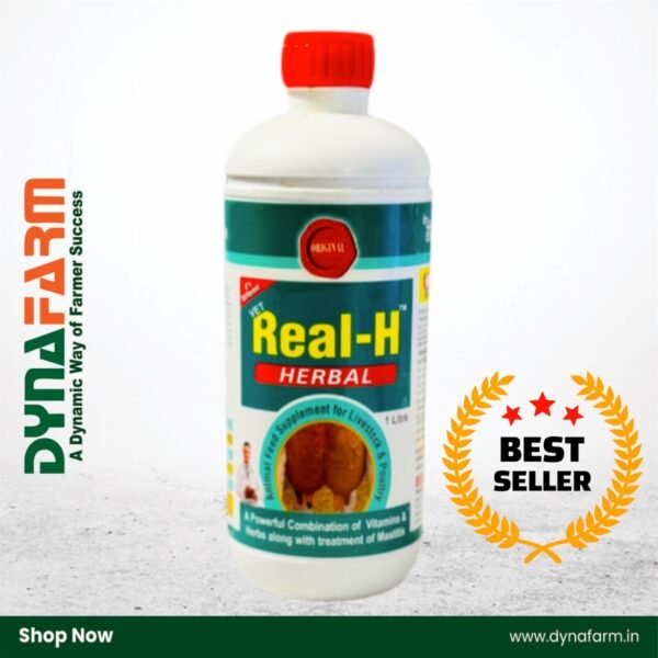 Real‑H Herbal Livestock Tonic – Natural Udder & Milk Boost Formula (1 & 2 Litre) - Image 1