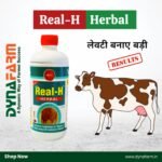 Real‑H Herbal Livestock Tonic – Natural Udder & Milk Boost Formula (1 & 2 Litre) - Image 2