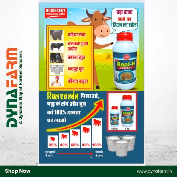 Real‑H Herbal Livestock Tonic – Natural Udder & Milk Boost Formula (1 & 2 Litre) - Image 5