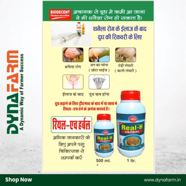 Real‑H Herbal Livestock Tonic – Natural Udder & Milk Boost Formula (1 & 2 Litre) - Image 6