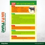 Real‑H Herbal Livestock Tonic – Natural Udder & Milk Boost Formula (1 & 2 Litre) - Image 8