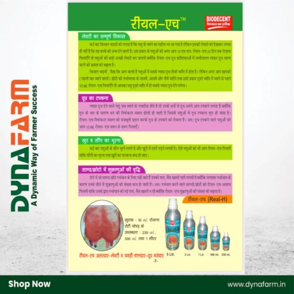 Real‑H Herbal Livestock Tonic – Natural Udder & Milk Boost Formula (1 & 2 Litre) - Image 9