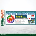 Real‑H Herbal Livestock Tonic – Natural Udder & Milk Boost Formula (1 & 2 Litre) - Image 10