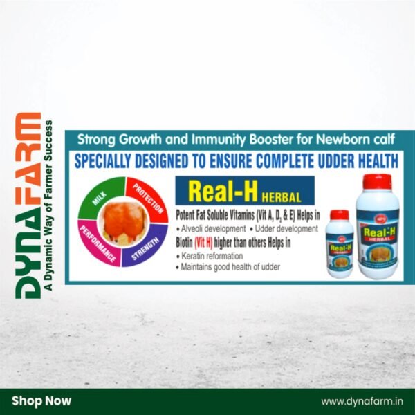 Real‑H Herbal Livestock Tonic – Natural Udder & Milk Boost Formula (1 & 2 Litre) - Image 10