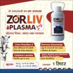 Zorliv Plasama – Liver Tonic & Immunity Booster for Cattle, Buffalo & Goat - Image 4