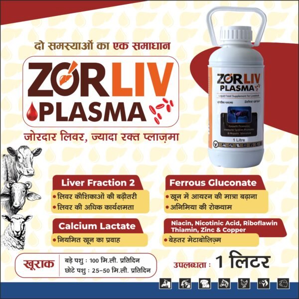 Zorliv Plasama – Liver Tonic & Immunity Booster for Cattle, Buffalo & Goat - Image 4