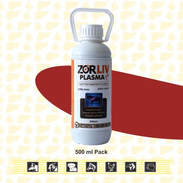Zorliv Plasama – Liver Tonic & Immunity Booster for Cattle, Buffalo & Goat - Image 3