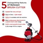 Balwaan 35cc Backpack Brush Cutter (BX-35B | 2-Stroke Engine, Crop & Grass Cutter with Multiple Blades) - Image 7