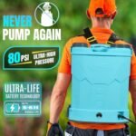 Neptune DK-13 Battery Sprayer – 12V 12Ah | 20L Tank | Double Motor | High-Pressure 4.5 LPM - Image 6