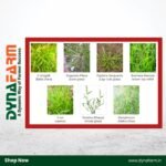 Crystal Bango – Bispyribac Sodium 10% SC | Herbicide for Paddy Weed Control - Image 2