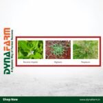 Crystal Ronaldo™ – Oxyfluorfen 23.5% EC | Herbicide for Onion, Groundnut & Broadleaf Weeds - Image 2