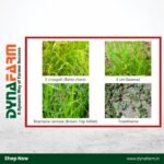 Crystal Leagos – Tembotrione 34.4% SC | Herbicide for Maize & Makka Weed Control - Image 2