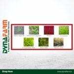 Crystal Traam – Quizalofop-ethyl 5% EC Post-Emergent Herbicide for Narrow Leaf Weeds - Image 2