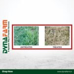 Crystal Gramoxone™ – Paraquat Dichloride 24% SL Non-Selective Contact Herbicide for Non-Crop Areas - Image 2
