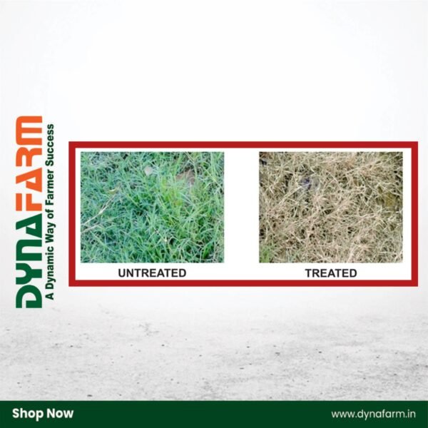 Crystal Gramoxone™ – Paraquat Dichloride 24% SL Non-Selective Contact Herbicide for Non-Crop Areas - Image 2