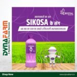 Crystal Sikosa – Bensulfuron-Methyl 4.8% + Pretilachlor 48% OD Herbicide for Broadleaf, Grass & Sedge Weeds in Paddy - Image 2