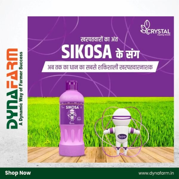 Crystal Sikosa – Bensulfuron-Methyl 4.8% + Pretilachlor 48% OD Herbicide for Broadleaf, Grass & Sedge Weeds in Paddy - Image 2