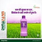 Crystal Sikosa – Bensulfuron-Methyl 4.8% + Pretilachlor 48% OD Herbicide for Broadleaf, Grass & Sedge Weeds in Paddy - Image 3